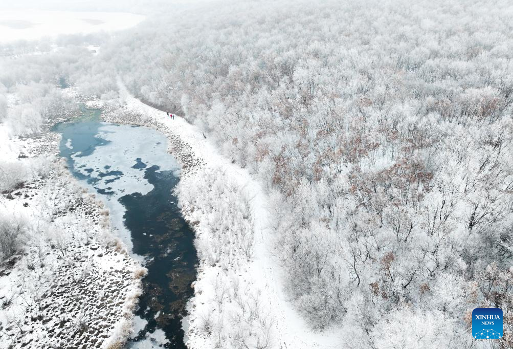 Winter scenery in Hulun Buir, north China's Inner Mongolia