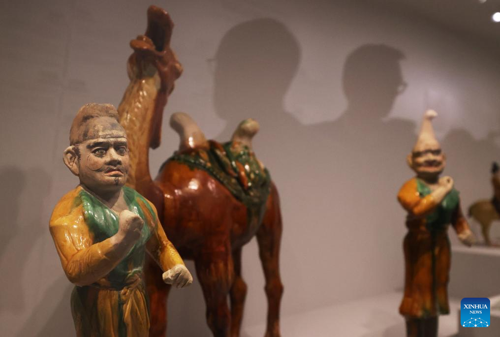 Exhibition of China's Tang Dynasty held in France