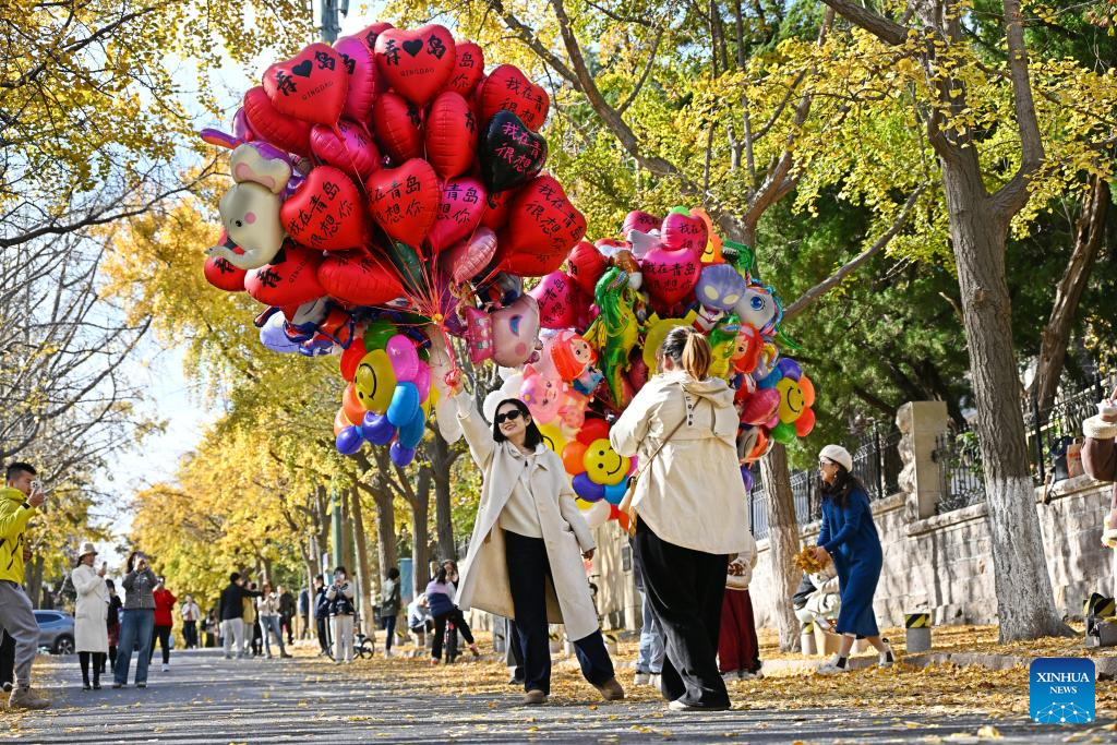 Autumn scenery of Qingdao, E China