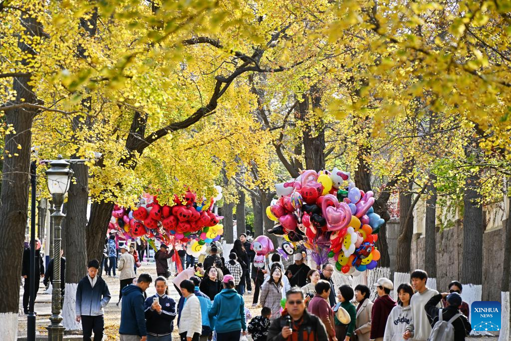 Autumn scenery of Qingdao, E China