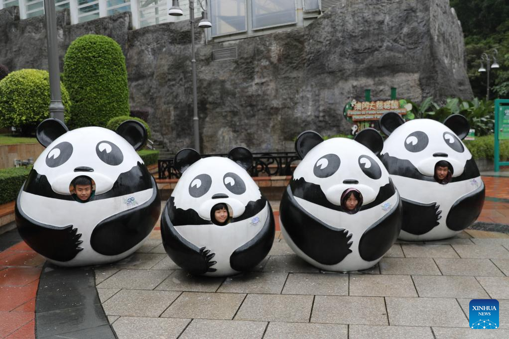 In pics: giant panda family in Macao