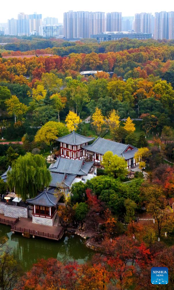 Autumn scenery in Xi'an, NW China's Shaanxi