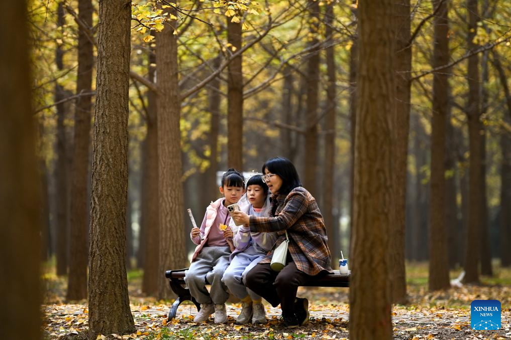 Autumn scenery in Xi'an, NW China's Shaanxi