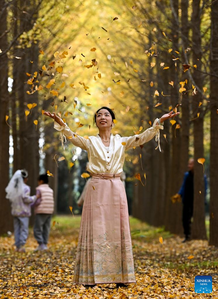 Autumn scenery in Xi'an, NW China's Shaanxi