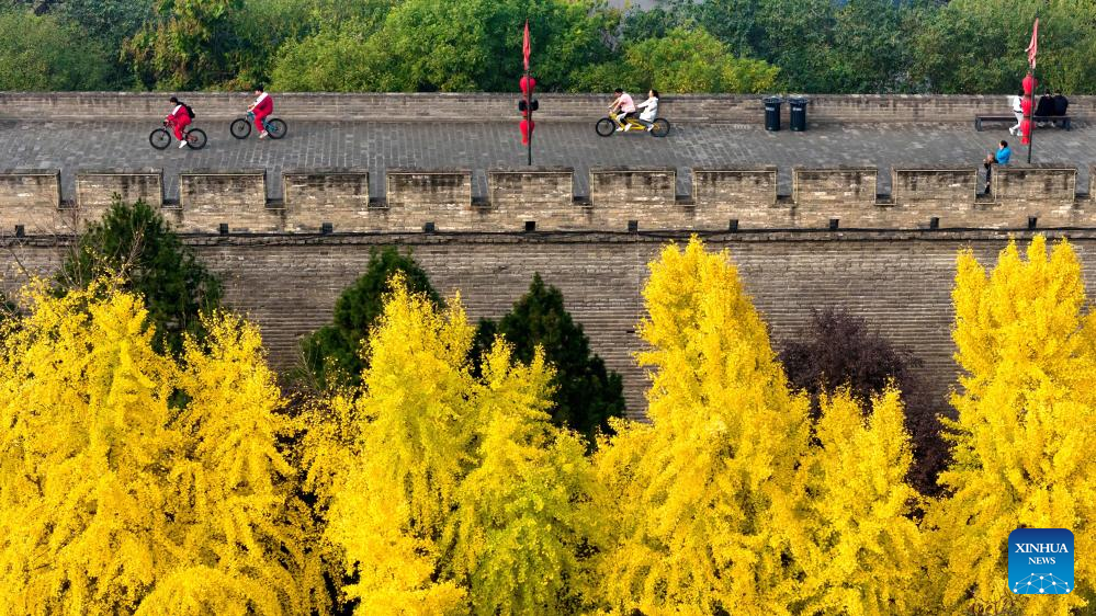 Autumn scenery in Xi'an, NW China's Shaanxi