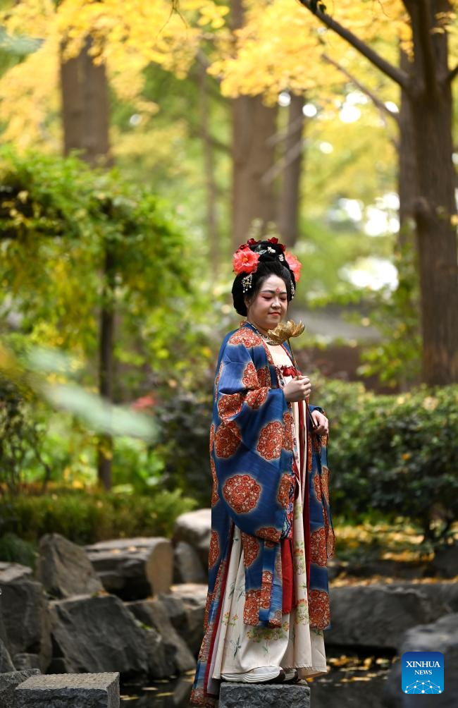 Autumn scenery in Xi'an, NW China's Shaanxi