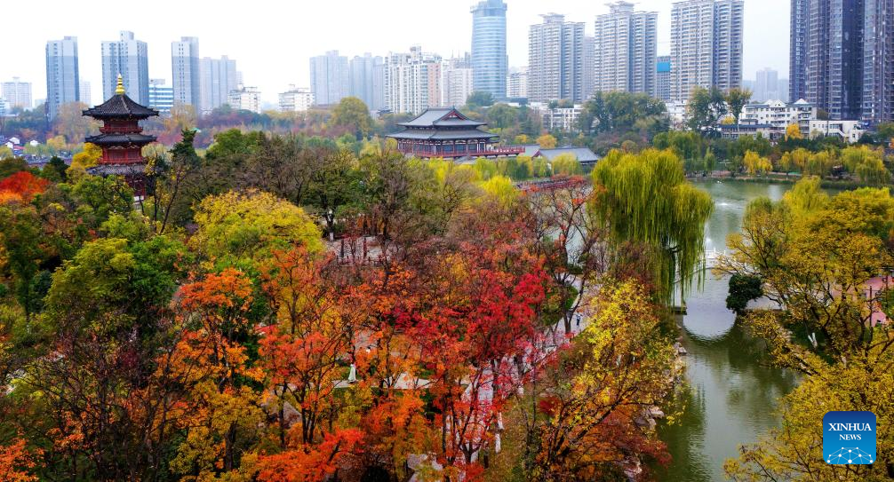 Autumn scenery in Xi'an, NW China's Shaanxi