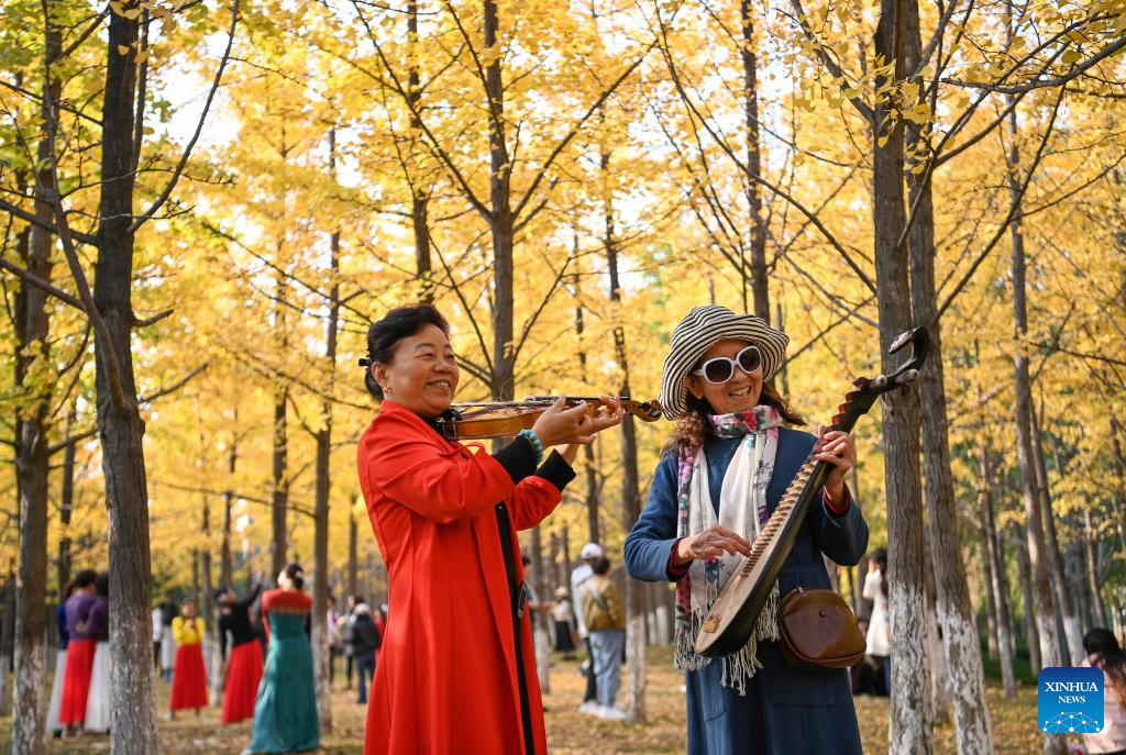 Autumn scenery in Xi'an, NW China's Shaanxi