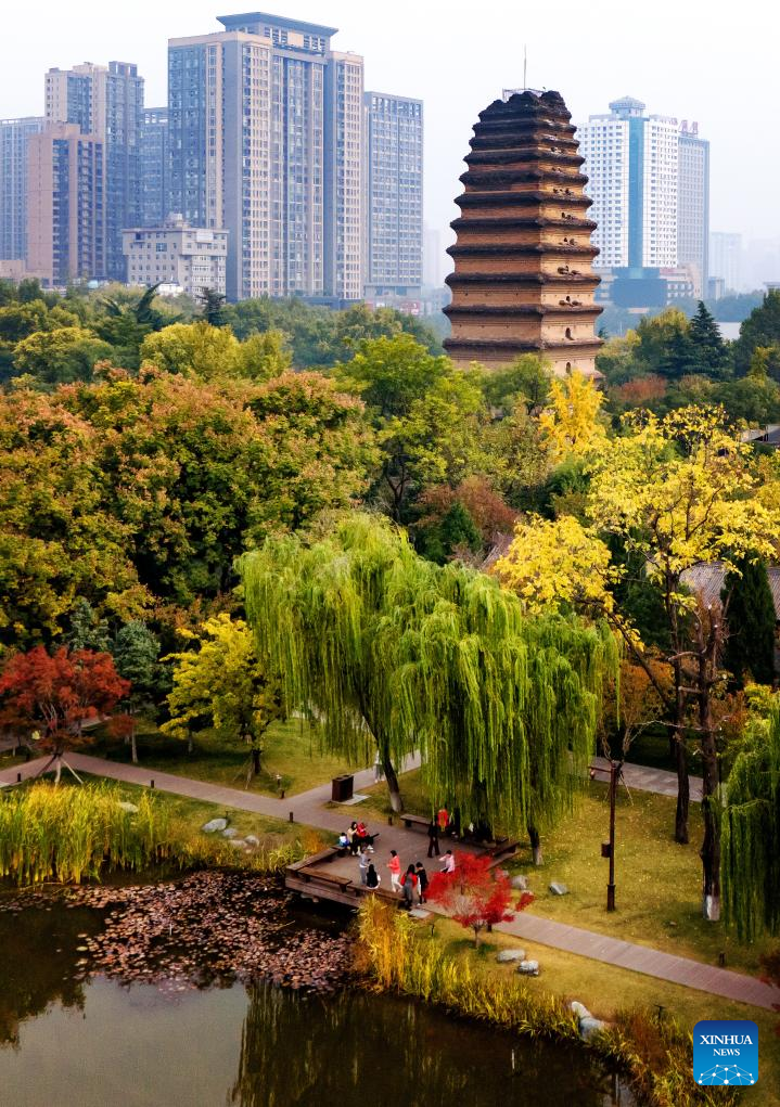 Autumn scenery in Xi'an, NW China's Shaanxi