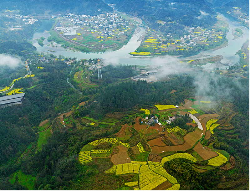 Representatives from international development agencies visit Pengshui, SW China's Chongqing