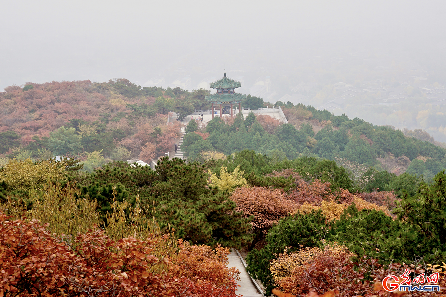 Autumn Glory Unfolds in Beijing Xishan National Forest Park