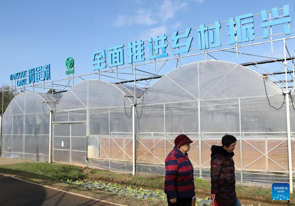 Hunan advances application of smart greenhouses in pepper planting industry