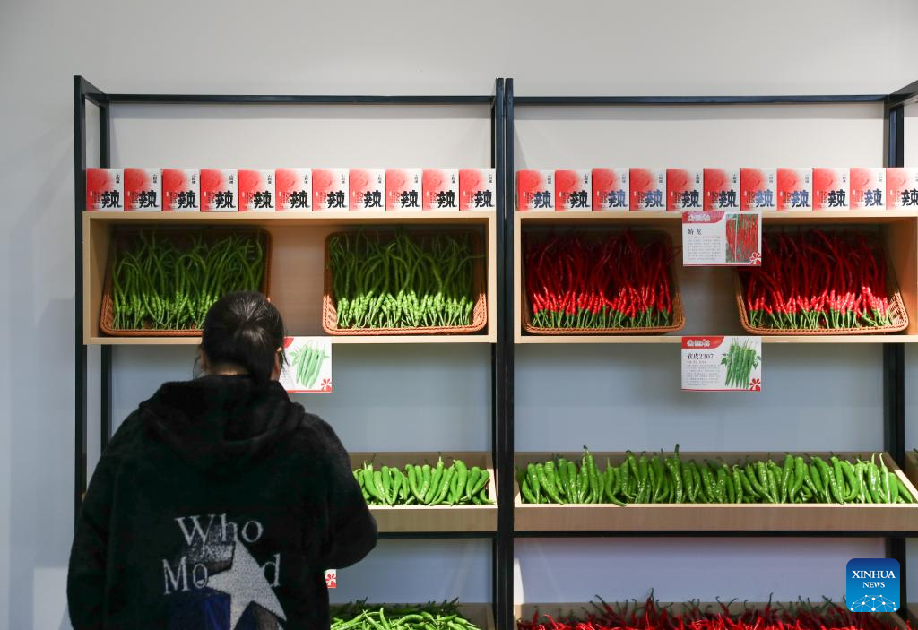 Hunan advances application of smart greenhouses in pepper planting industry