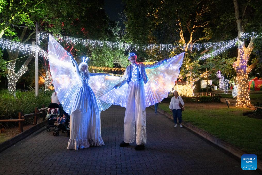 Festival of Lights held in Johannesburg, South Africa