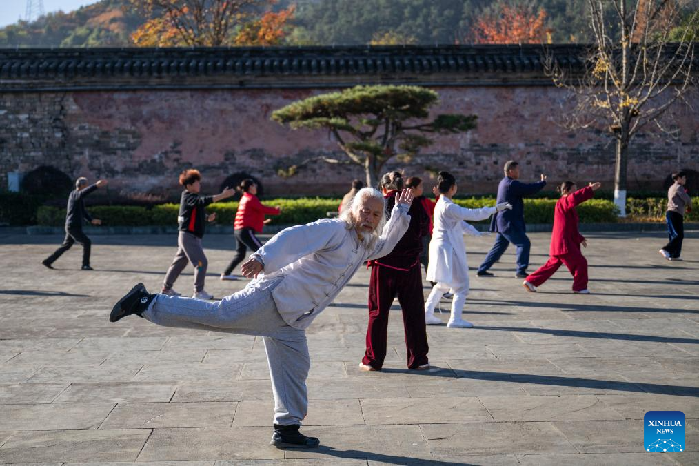 Wudang Mountain attracts global enthusiasts as Tai Chi flourishes