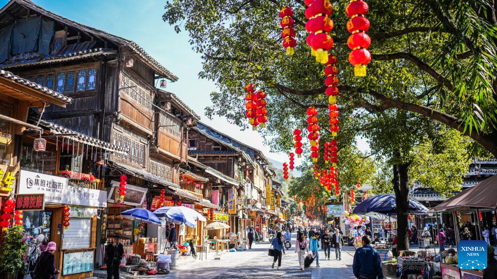 Dongnian festival celebrated in SW China's Guizhou