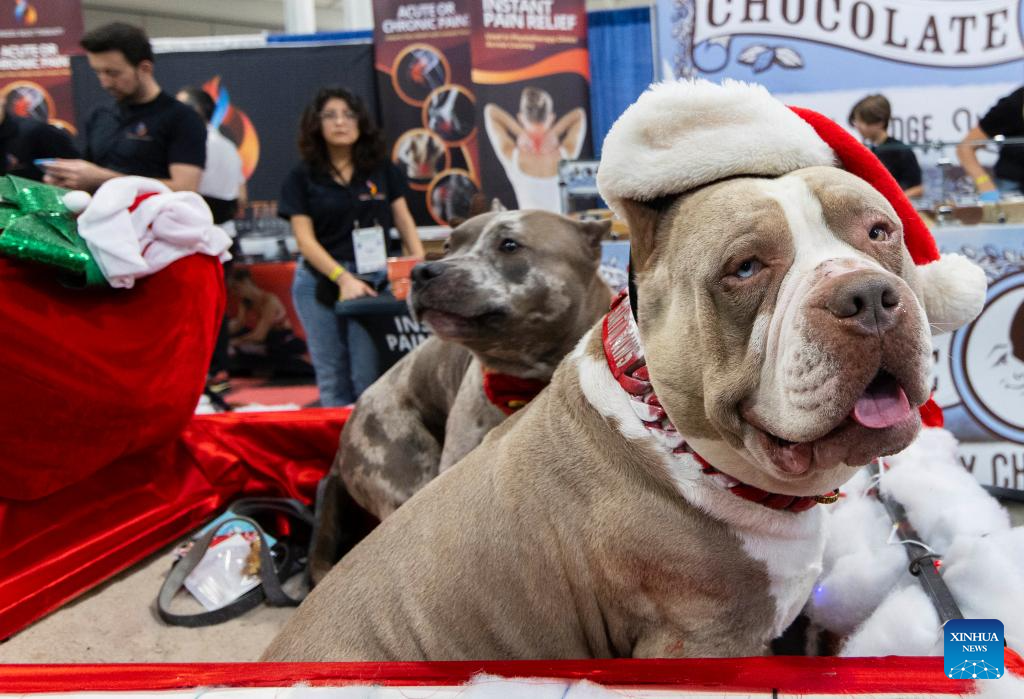 2024 Christmas Canadian Pet Expo held in Ontario