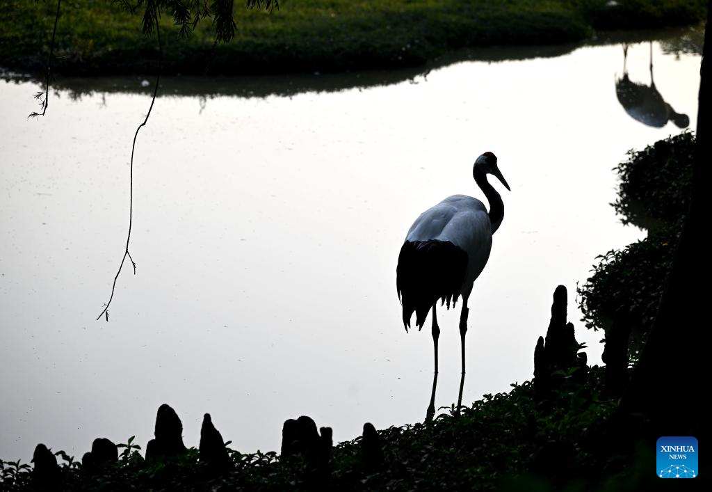 View of Xinghu Scenic Area in China's Guangdong