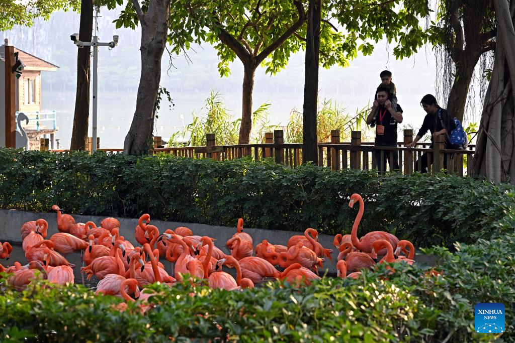 View of Xinghu Scenic Area in China's Guangdong