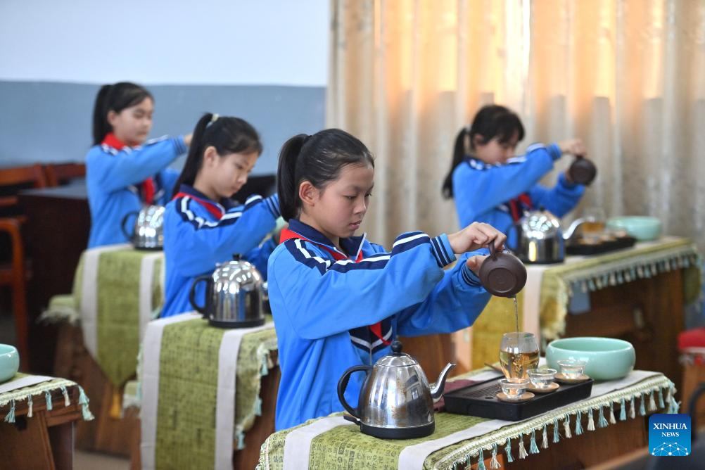 Liubao tea culture thrives in classrooms in Guangxi