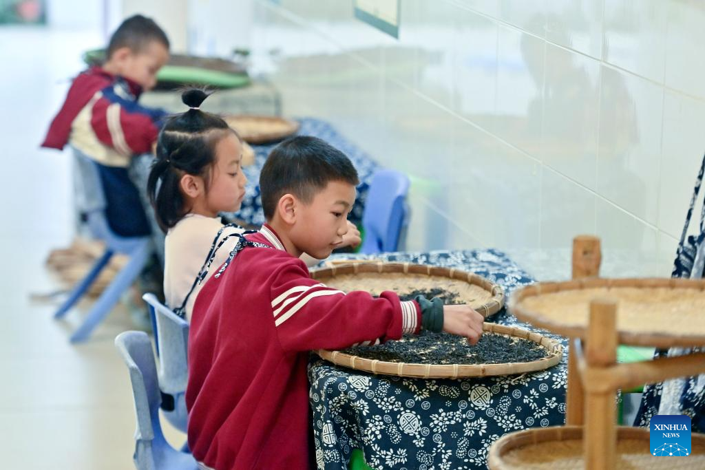 Liubao tea culture thrives in classrooms in Guangxi