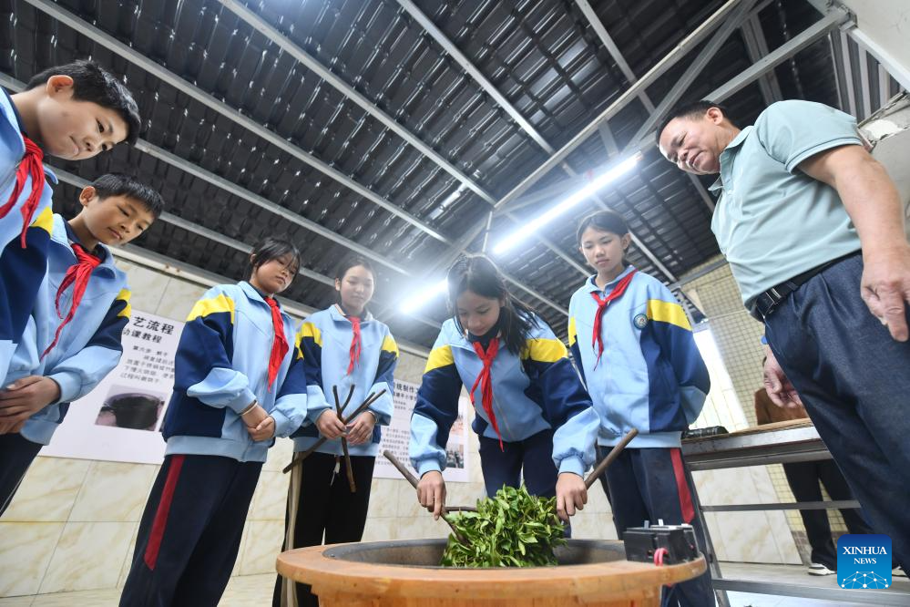 Liubao tea culture thrives in classrooms in Guangxi