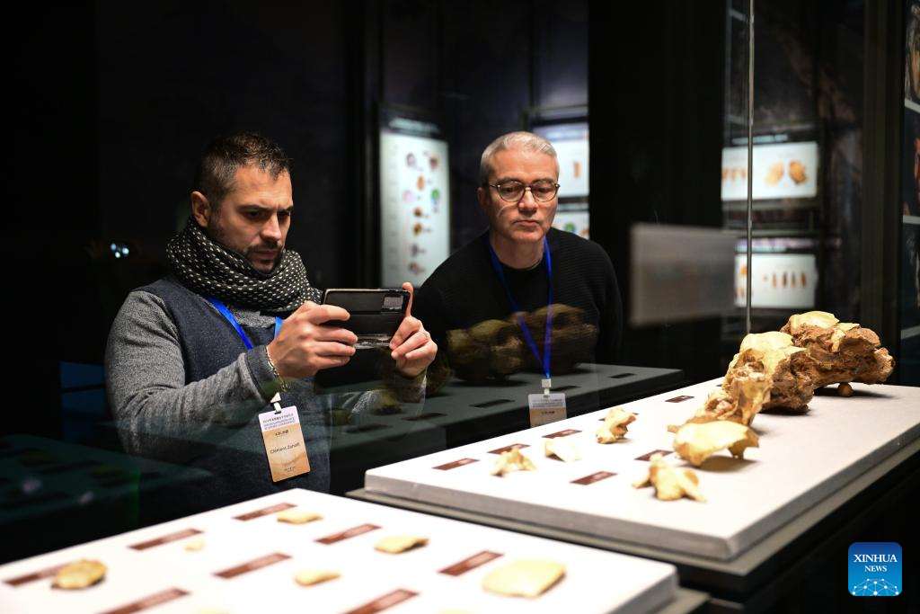 China Focus: China discovers landmark human evolution fossils