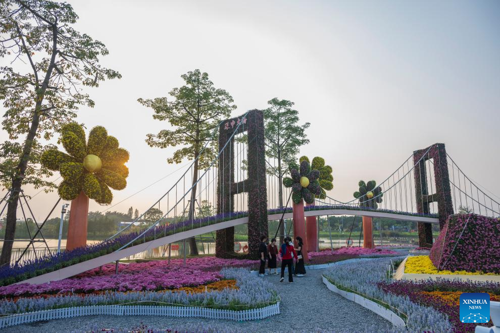 In pics: 2024 Xiaolan chrysanthemum exhibition in Guangdong, S China