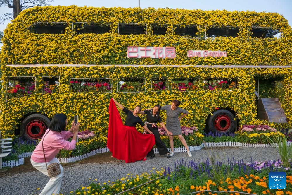 In pics: 2024 Xiaolan chrysanthemum exhibition in Guangdong, S China