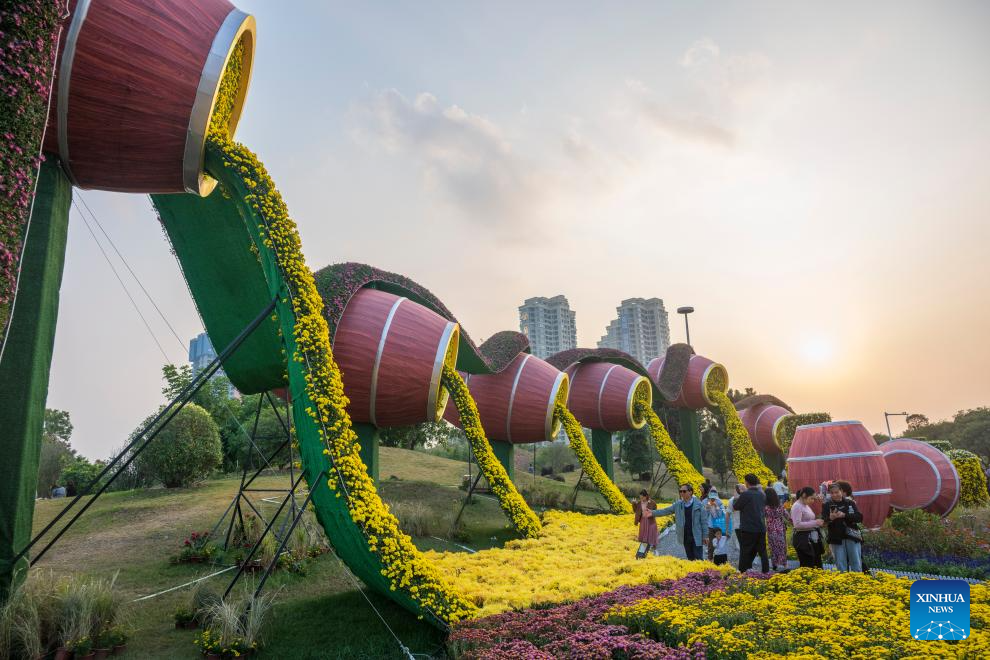 In pics: 2024 Xiaolan chrysanthemum exhibition in Guangdong, S China