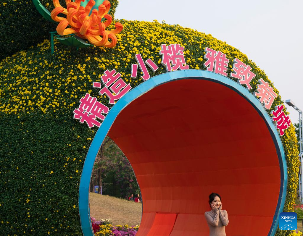 In pics: 2024 Xiaolan chrysanthemum exhibition in Guangdong, S China