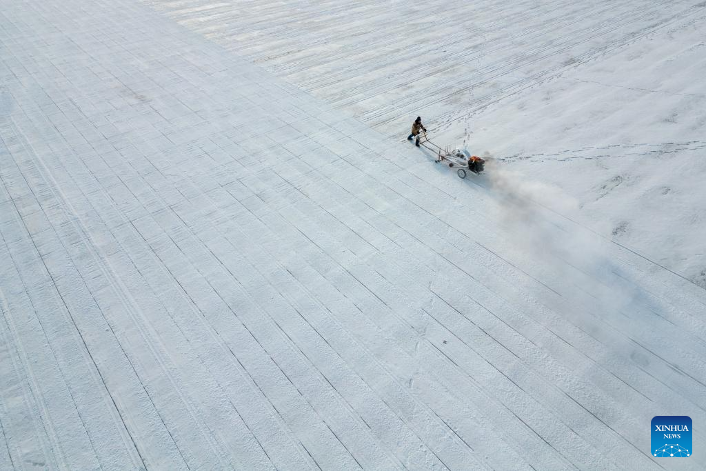 Ice collection season starts in Harbin, NE China