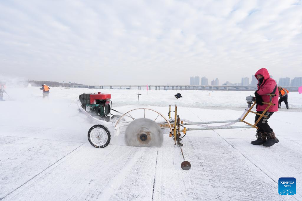 Ice collection season starts in Harbin, NE China