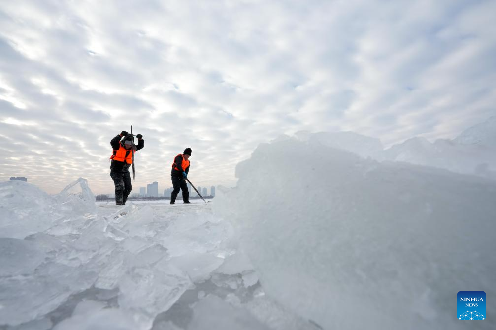 Ice collection season starts in Harbin, NE China