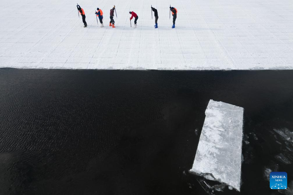 Ice collection season starts in Harbin, NE China