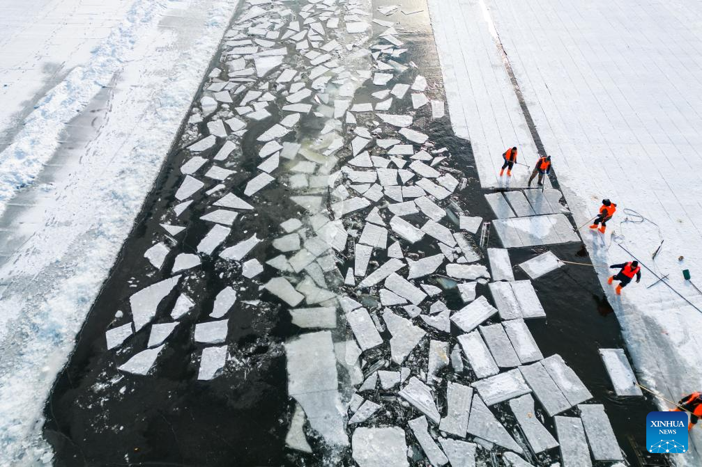 Ice collection season starts in Harbin, NE China