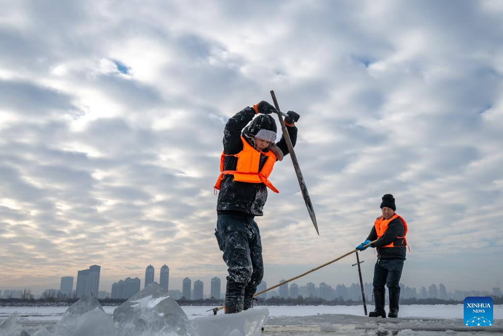 Ice collection season starts in Harbin, NE China