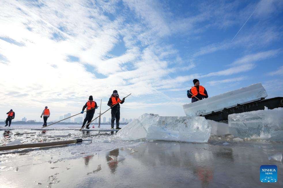 Ice collection season starts in Harbin, NE China