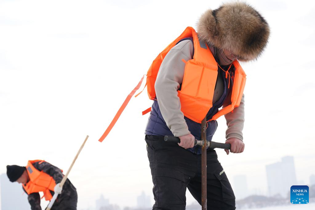 Ice collection season starts in Harbin, NE China