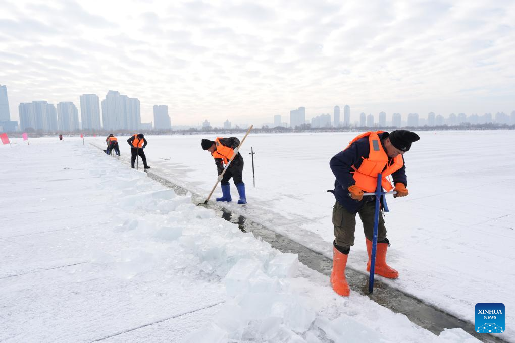 Ice collection season starts in Harbin, NE China