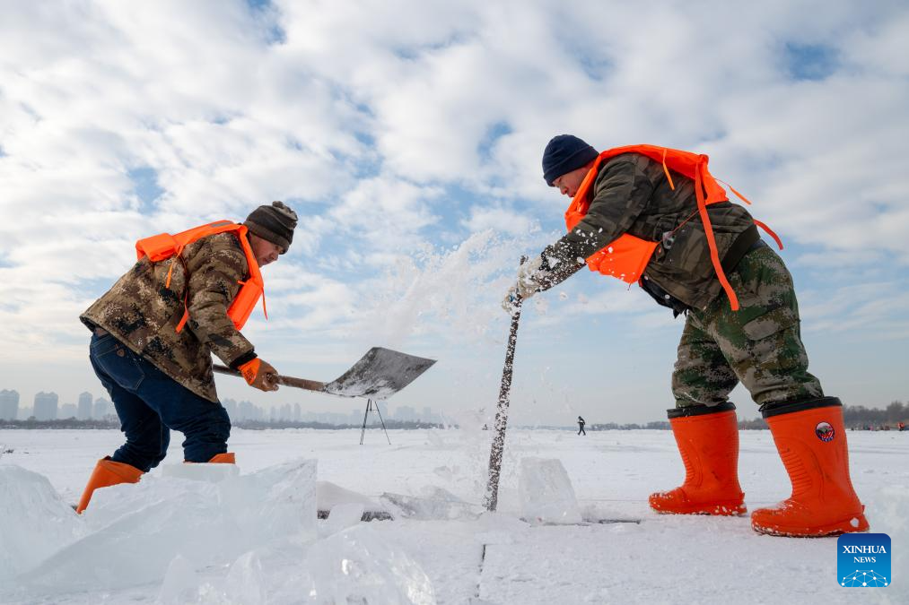 Ice collection season starts in Harbin, NE China