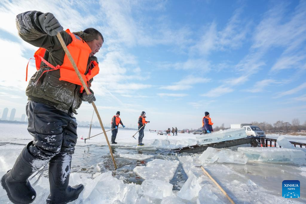 Ice collection season starts in Harbin, NE China