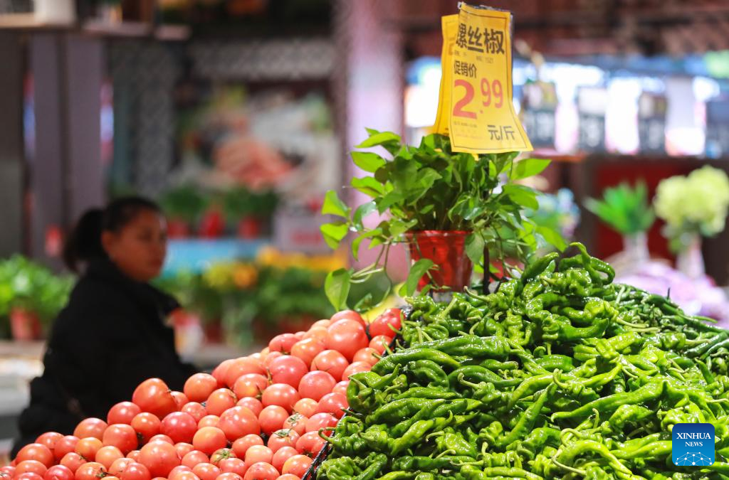 China's CPI up 0.2 pct in November