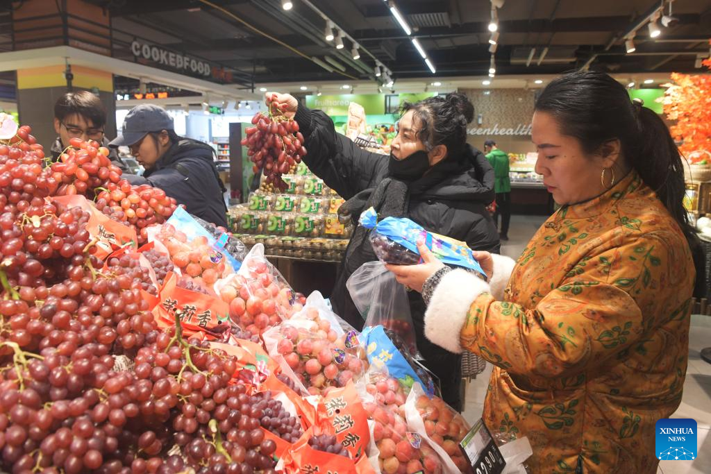 China's CPI up 0.2 pct in November