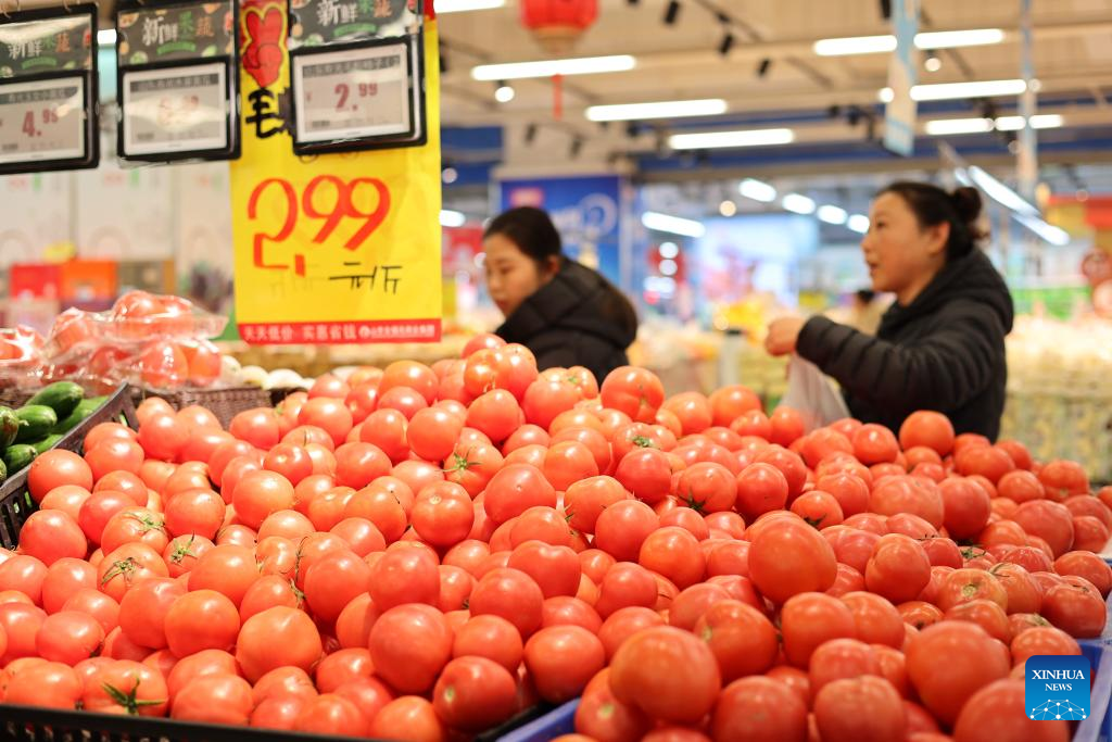 China's CPI up 0.2 pct in November