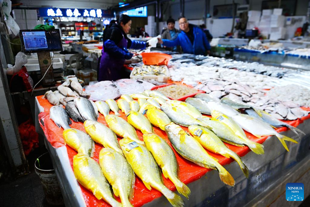 China's CPI up 0.2 pct in November