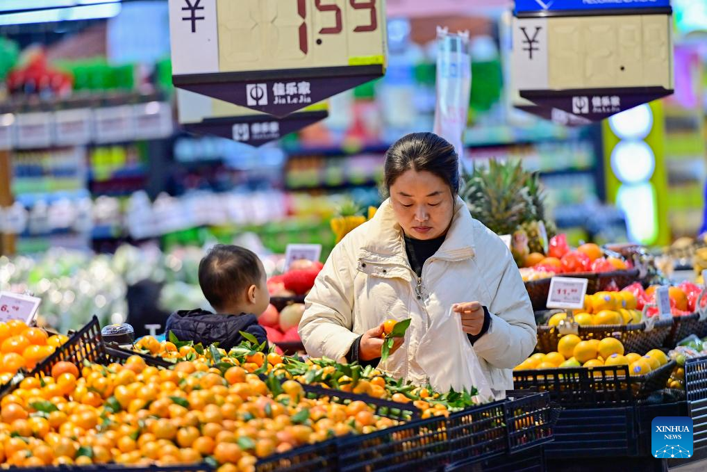 China's CPI up 0.2 pct in November