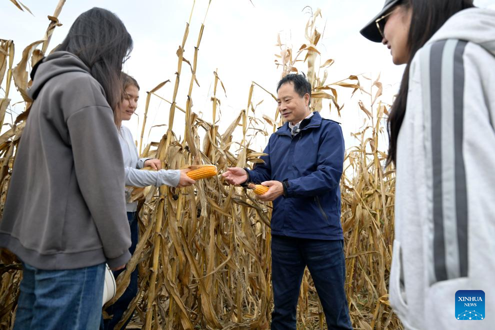 University professor committed to transforming saline-alkali land into arable land