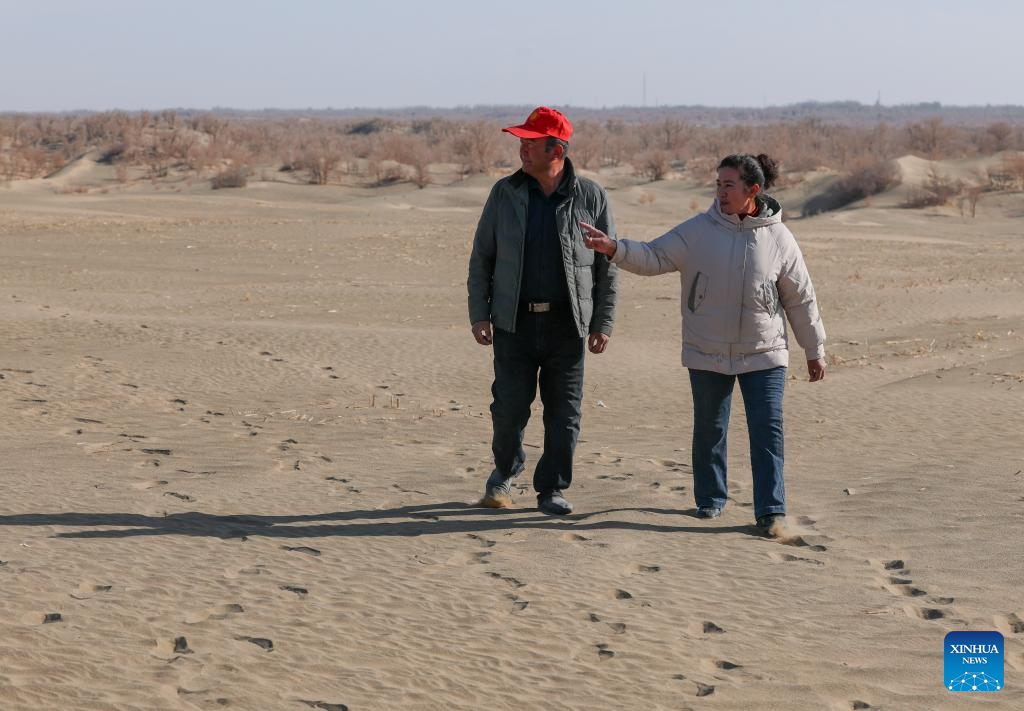 Desert control project in Xinjiang improves farmer's life