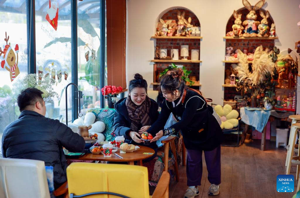 Chongqing's Tianfu Town transforms rural houses into thriving homestays